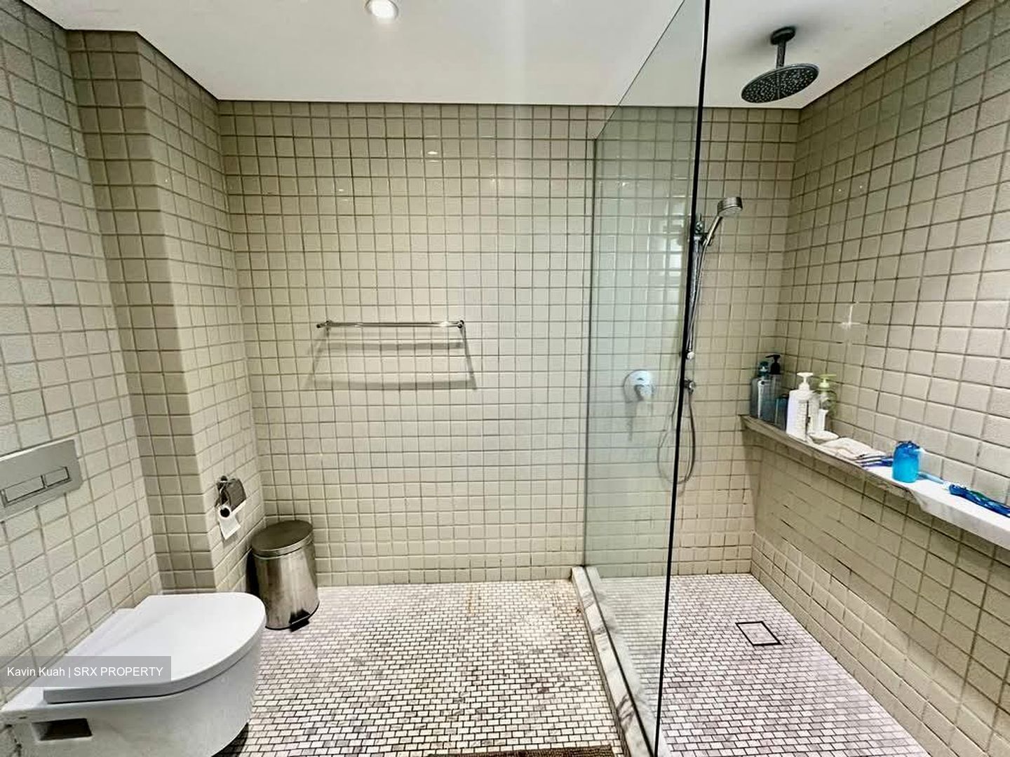 Leonie Towers (D9), Apartment #527078861